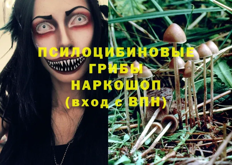 omg маркетплейс  Тольятти  Галлюциногенные грибы Magic Shrooms 